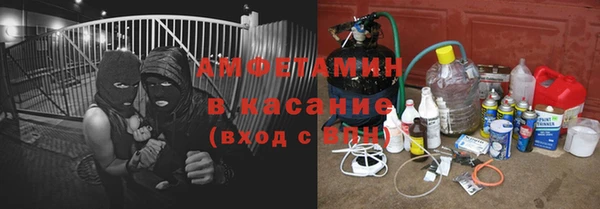 прущая мука Вяземский